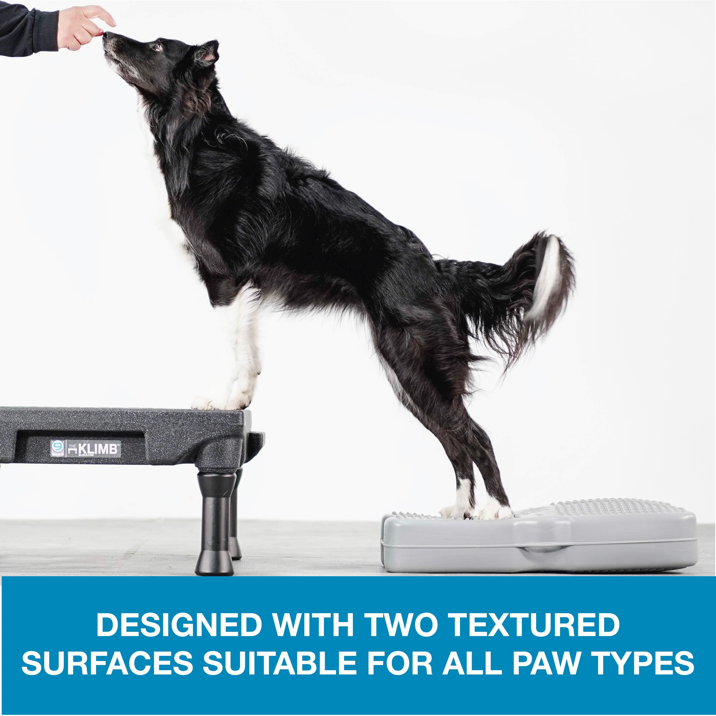 Blue-9 Propel Air Platform Kit, Professionally Designed Dog Training Accessories And Pet Products, Made In The Usa, Turquoise